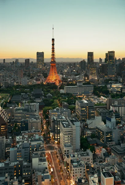 Вид на Токио — стоковое фото