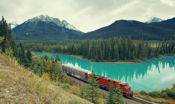 Cargo train and lake forest