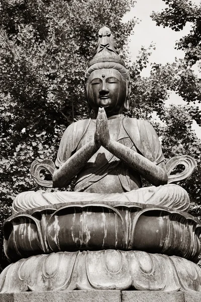 Podrobnosti o Sensoji Temple — Stock fotografie