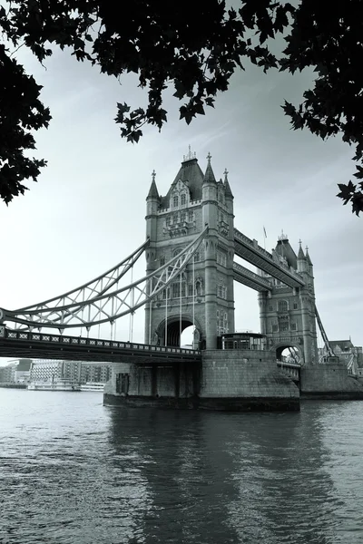 Tower Bridge Londres —  Fotos de Stock