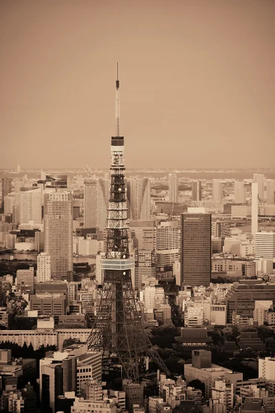 Θέα στον ορίζοντα του Τόκιο — Φωτογραφία Αρχείου