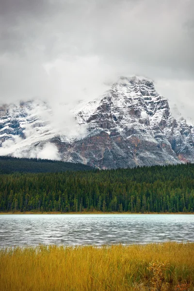 Bow Lake vista — Foto de Stock