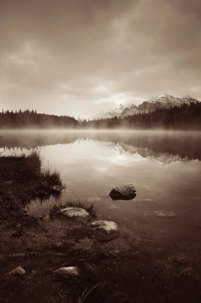 Озеро Герберт туманне ранок — стокове фото