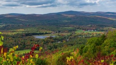 Dağ Sonbahar yaprakları