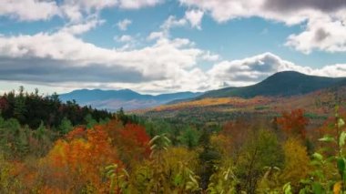 Dağ Sonbahar yaprakları