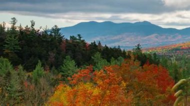 White Mountain Güz Yeşilliği New Hampshire 'da zaman aşımına uğradı
