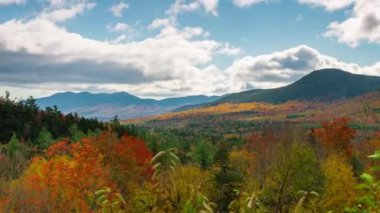 Dağ Sonbahar yaprakları