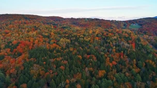 Luftaufnahme des Berges mit Herbstlaub — Stockvideo