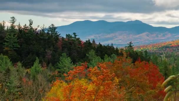 Puing Putih Dedaunan Musim Gugur Penampakan Waktu New Hampshire — Stok Video