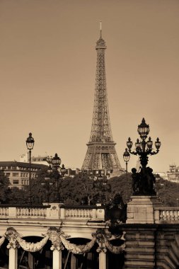 Alexandre Köprüsü ve Paris, Fransa 'daki Eyfel Kulesi.