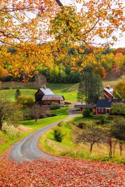 ABD 'de New England' da çiftlik evi ile güzel sonbahar renkleri