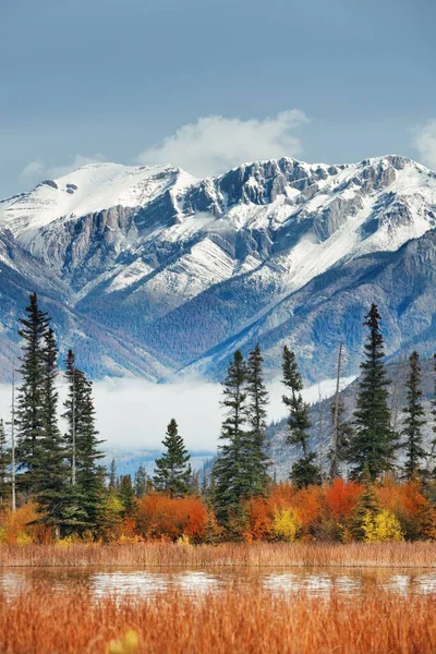 Beautiful Autumn Foliage Jasper National Park Canada — Stock Photo, Image