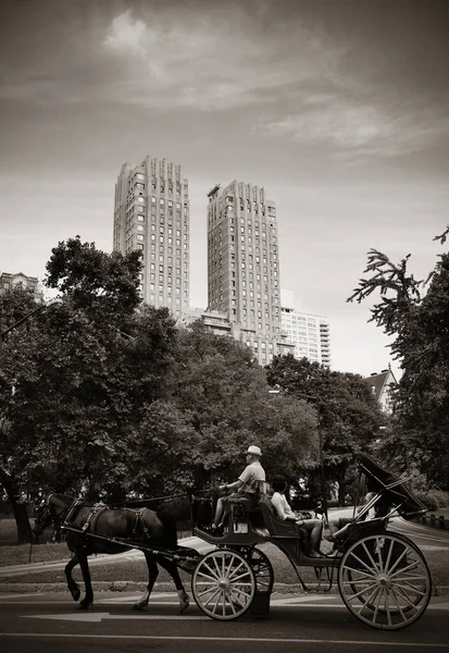 Central Park Primavera Carrozza Cavallo Nel Centro Manhattan New York — Foto Stock