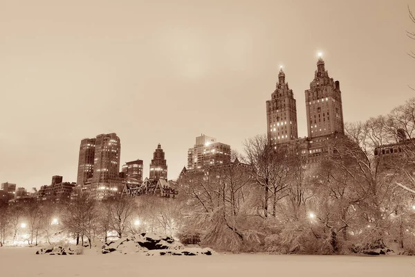 Central Park Vinter Natten Med Skyskrapor Centrala Manhattan New York — Stockfoto