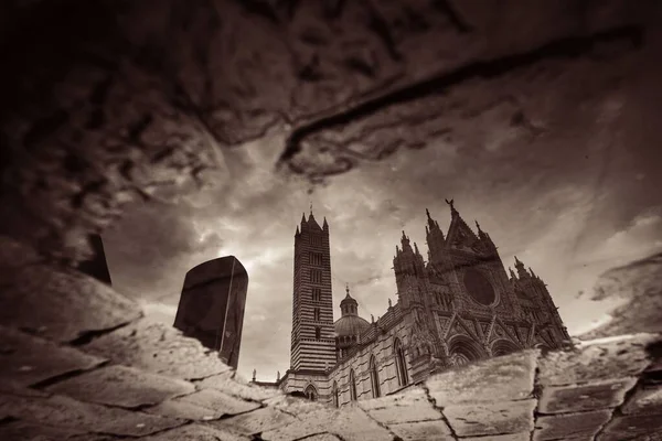 Catedral Siena Reflexão Após Chuva Como Famoso Marco Cidade Medieval — Fotografia de Stock