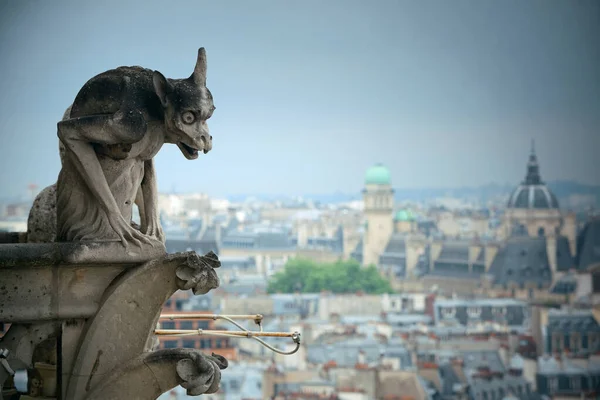 Vista Azotea París Desde Catedral Notre Dame —  Fotos de Stock