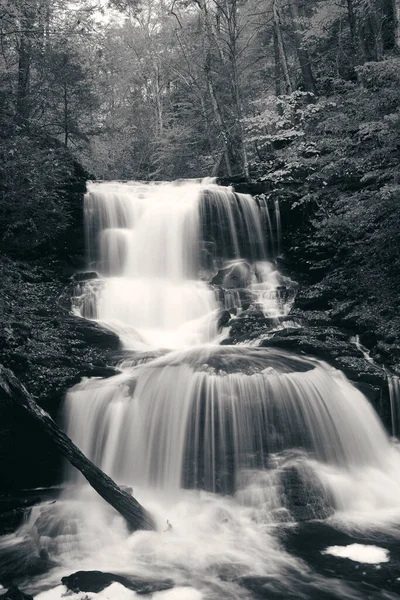 Wasserfälle Wäldern Schwarz Und Weiß — Stockfoto