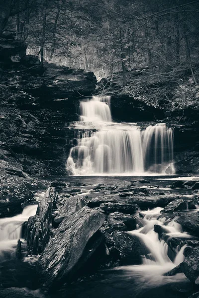 Vodopády Lesích Černé Bílé — Stock fotografie