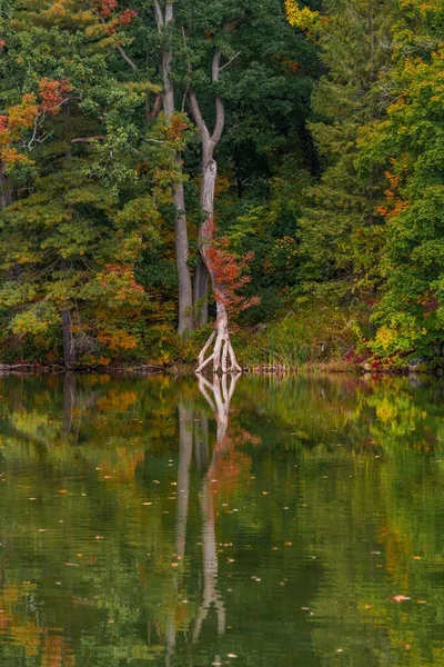 アメリカのニューイングランドの湖で美しい秋の色 — ストック写真