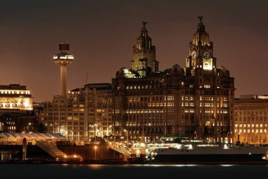 Liverpool Kraliyet Liver Binası İngiltere 'de binaları olan bir gece.