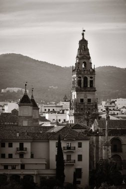Cami-Katedral çan kulesi, İspanya 'daki Cordoba' nın tarihi köprü ve şehir silueti.. 