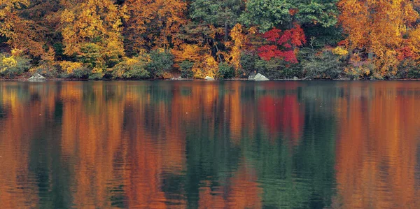 Follaje Colorido Otoñal Con Panorama Reflexión Del Lago —  Fotos de Stock
