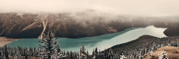 カナダのバンフ国立公園で雪と冬のペイトー湖のパノラマ — ストック写真