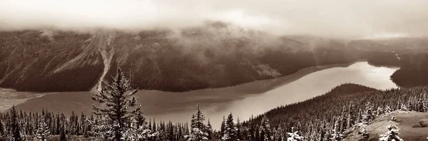 Peyto Lake Panorama Winter Mit Schnee Banff National Park Kanada — Stockfoto