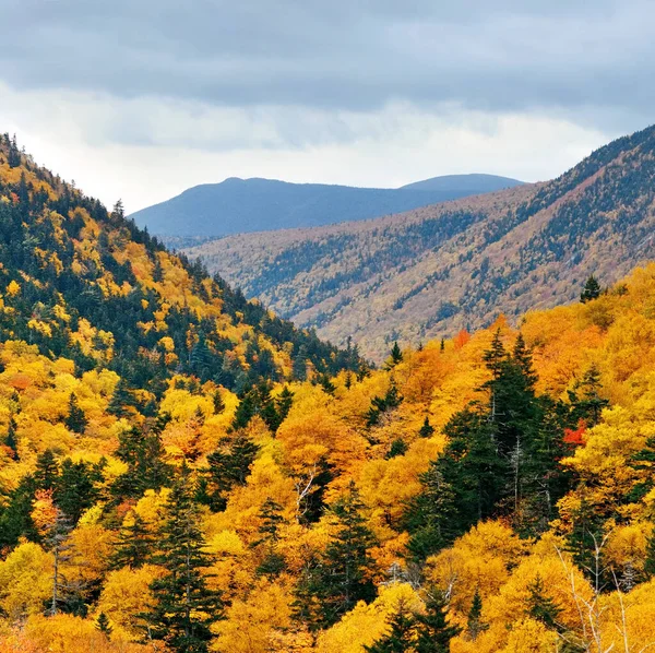 Barevné Podzimní Listí White Mountain New Hampshire — Stock fotografie