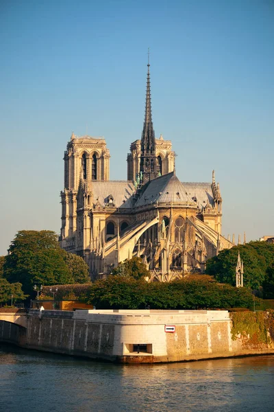 Paris Floden Seine Med Notre Dame Katedralen Frankrike — Stockfoto