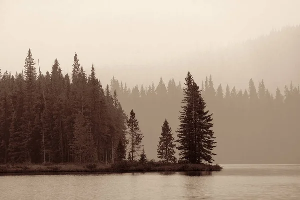 班夫国家公园多雾天气下的森林与湖泊 — 图库照片