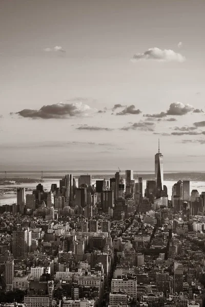 Vista Del Horizonte Del Centro Nueva York —  Fotos de Stock