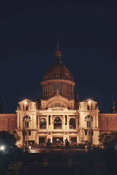 Kataloniens Nationella Konstmuseum Placa Espanya Barcelona Spanien — Stockfoto