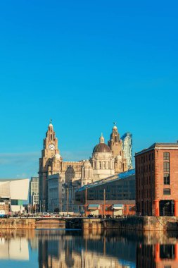 İngiltere, İngiltere 'deki tarihi binalar ve yansımalarla Royal Albert Rıhtımı' ndan izlenen Üç Zarafet.