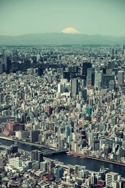 Tóquio Vista Telhado Skyline Urbano Com Fuji Japão — Fotografia de Stock