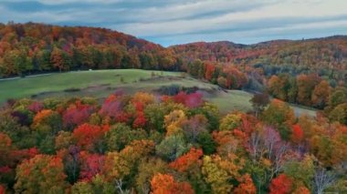 Sonbahar yapraklı dağın havadan görünüşü