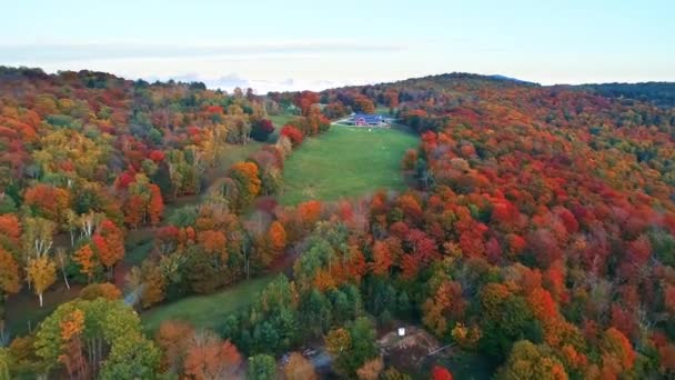 Luftaufnahme des Berges mit Herbstlaub — Stockvideo