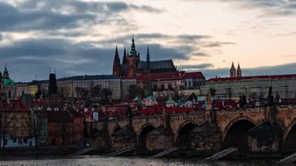 Praag Castle Charles Bridge Stad Skyline Architectuur Stedelijke Tijd Lapse — Stockvideo