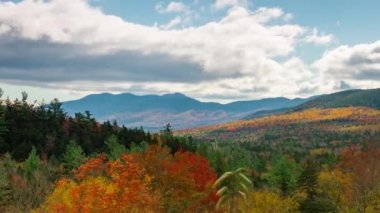 Dağ Sonbahar yaprakları