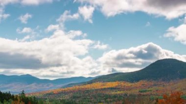Dağ Sonbahar yaprakları