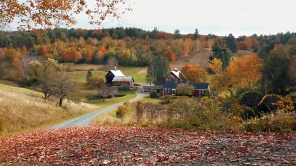 Boerderij met herfstblad — Stockvideo