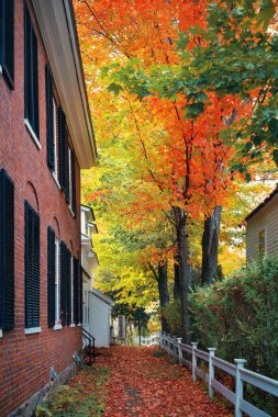Amerika 'da New England' da güzel sonbahar renklerine sahip bir ev.