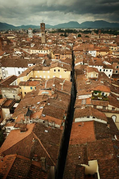 Lucca Tetőtéri Kilátás Vörös Tetők Történelmi Épületek Hegyvidéki Olaszországban — Stock Fotó