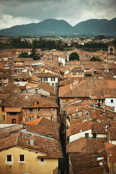 Lucca Ταράτσα Κόκκινες Στέγες Των Ιστορικών Κτιρίων Και Οροσειρά Στην — Φωτογραφία Αρχείου