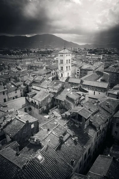 Lucca Town Skyline Top View Bell Tower Basilica San Michele — стокове фото