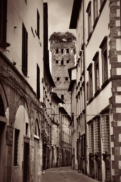 Lucca Άποψη Του Δρόμου Στην Ιταλία — Φωτογραφία Αρχείου