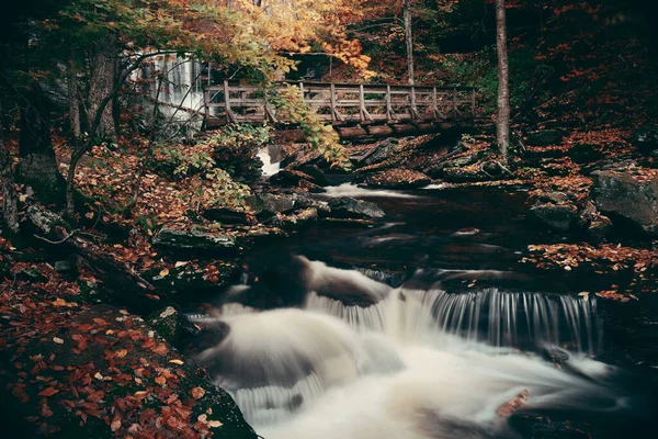 Podzimní Vodopády Parku Barevným Listím — Stock fotografie