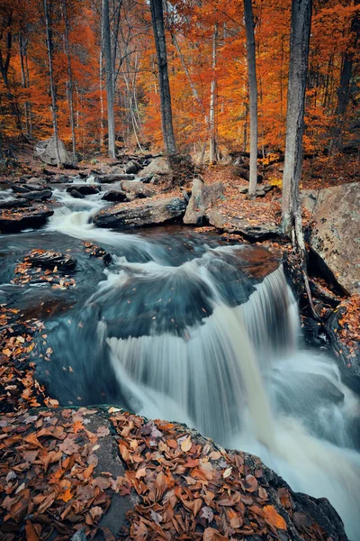 Cascate Autunnali Parco Con Fogliame Colorato — Foto Stock