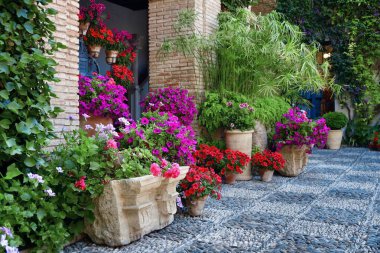 İspanya 'nın Cordoba kentindeki evin güzel çiçek süslemesi..