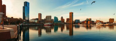 Baltimore şehir binalarıyla iç liman manzarası.